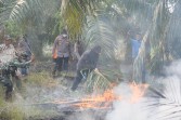 Bupati Afni Turun Padamkan Karhutla di Cagar Biosfer Tasik Betung, Bara Gambut Masih Mengancam