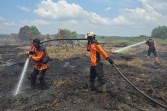 Pemkab Rohil Tetapkan Status Darurat Karhutla Hingga November