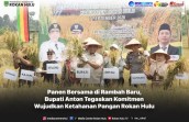 Produktivitas Penanaman Padi Rambah Samo Naik Menjadi 8,9 Ton Gabah Kering Per Hektare