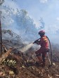 Siasat 'Temu Gelang' Manggala Agni dan Regdam PT SRL Berhasil Kepung Karhutla Rupat