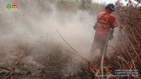 Kepala Api Karhutla Sungai Guntung Hilir Merangsek ke Hutan Primer