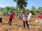 Dukung Program Asta Cita Presiden, Polsek Kuantan Hilir Bersama Forkopimcam Tanam Jagung Pipil di Kampung Madura