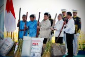 Swasembada Beras  Indonesia Tekan Harga Beras Global hingga 44 Persen