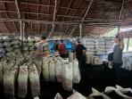Sikat Mafia Mangrove, Polisi Amankan 100 Ton Arang Ilegal Siap Ekspor ke Malaysia