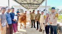 Musholla Syech Oesman Syahabuddin Terima Bantuan Sapi Qurban dari Presiden untuk Idul Adha 1447 H