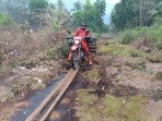 Sudah hanguskan 4 Hektare, Karhutla Pulau Mendol Belum Berhasil Dipadamkan