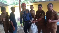 DPKP Pekanbaru Evakuasi Ular Piton di Kantor Dinas Kebudayaan Riau