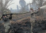 Mengurai Kabut Meretas Bara, Satpol PP Riau Berjuang di Hutan Dayun Siak