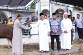 Bupati Asmar Serahkan Langsung Sapi Kurban Presiden ke Panitia Masjid Ar-Rahmah