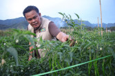 Survei Potensi  dan Harga di Tingkat Petani, Segini Estimasi Harga Cabai dan Telur di Pekanbaru