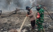 Karhutla di Siak Sudah Lumatkan  273 Hektare Lahan