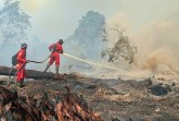 Asap Pekat dan Angin Kencang Hambat Pemadaman Karhutla di Kerumutan Pelalawan