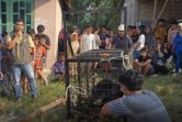 Beruang Madu Masuk Kandang Jebak BBKSDA di Kerumutan