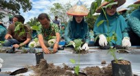 HKG, PKK Pekanbaru Tanam Cabai dan Tomat di Kebun Aku Hatinya PKK