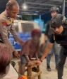 Diduga Eksploitasi Tiga Anak  Menjadi Manusia Silver, Pasutri di Pangkalan Kerinci Diamankan Apara Kepolisian