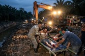 Pekerja Alat Berat Luka Parah Diserang Harimau di Teluk Lanus Siak