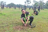 Lanud Rsn Pekanbaru Tanam 1.100 Pohon