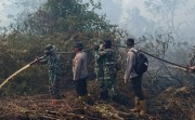 Karhutla di Pulau Rupat,  Semua Komponen Kerja Keras Lakukan Pemadaman...