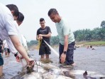 Masyarakat Tanjung Belit Gelar Mancokaw Ikan di Lubuk Larangan