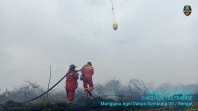 Ancaman El Nino, BPBD Waspadai Potensi Lonjakan Karhutla di Bulan Agustus