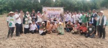 Kelompok Tani Duta Tani Tanam Padi Gogo, Dorong Ketahanan Pangan di Pekanbaru