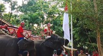 Belalai Gajah Budi dan Valenti Kibarkan Merah Putih di Kasang Kulim Zoo