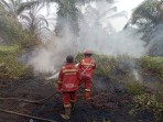 Karhutla Riau Hari Ketiga: Manggala Agni Fokus Lakukan Pendinginan di Rohil dan Siak