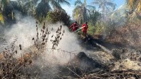Manggala Agni Kemenhut Masih Berjuang Gempur Karhutla di Sejumlah Wilayah  Riau