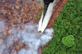 Satgas Udara Hujani Bom Air Padamkan Karhutla di Kuala Cenaku