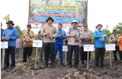 Polres Bersama Pemerintah Kampung  Penyengat Tanam 7000 Bibit Mangrove