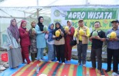Bupati Siak Panen Melon Milik BUMKam di Buantan Besar