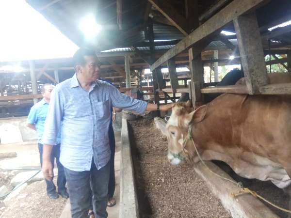 Firdaus Upayakan Pekanbaru Punya Kampung Mandiri