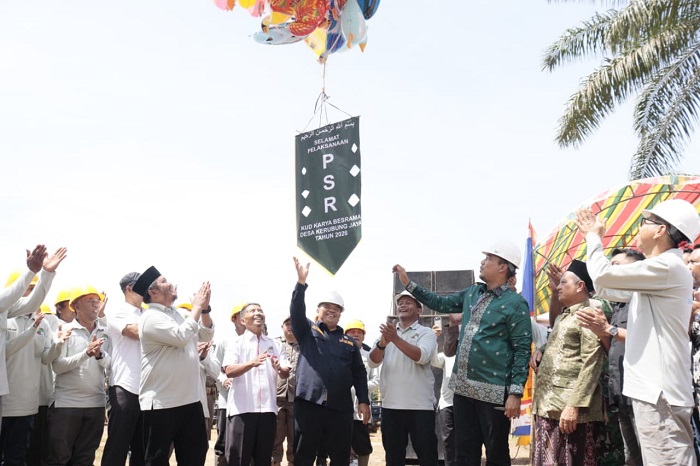 Pemerintah Mulai Lakukan Peremajaan 405 Kebun Sawit Rakyat di Batang Cenaku