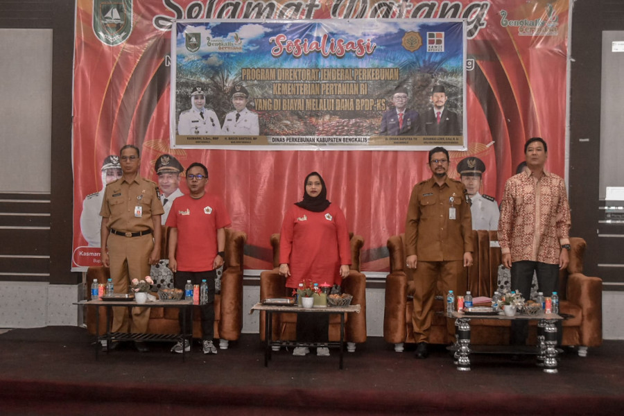 Percepatan Pengembangan Kelapa Sawit, Bupati Kasmarni Buka Sosialisasi Perkebunan