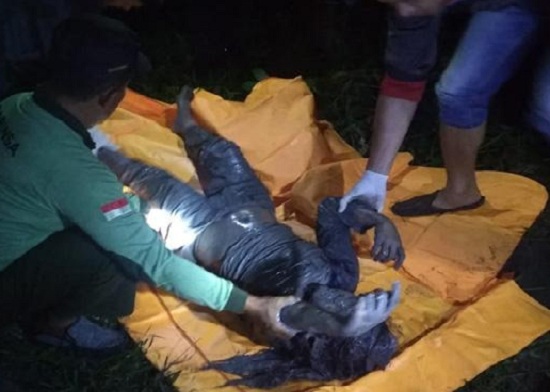 Ada bekas Luka di Bibir dan Leher, Mayat Wanita di Kebun Sawit Padat Karya Okura Tewas Tak Wajar