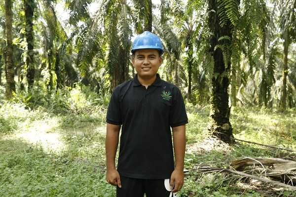 Pola Kemitraan Asian Agri Menguntungkan Petani Sawit