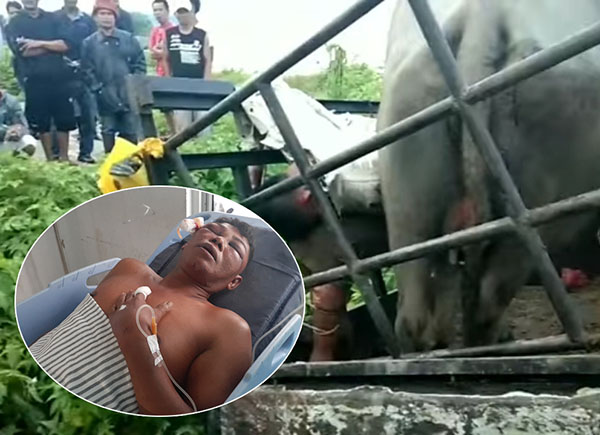 'Tertangkap Basah' Curi Kerbau, Pria Ini Sekarat Diamuk Massa