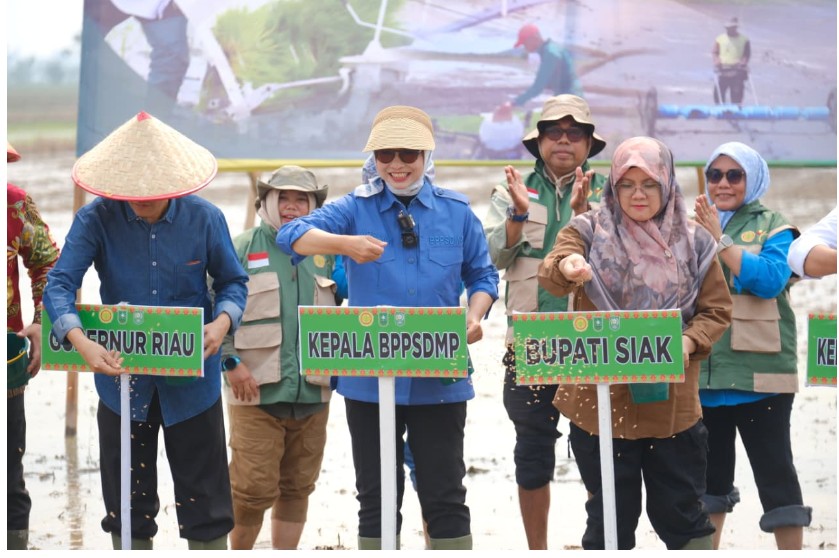 Kementan Tanam Serempak 50.000 Hektare, Siak Soroti Kendala Air Sawah