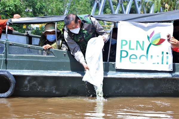Peduli Sungai Siak, Wali Kota dan PLN UIWRKR Sebar Bibit Ikan