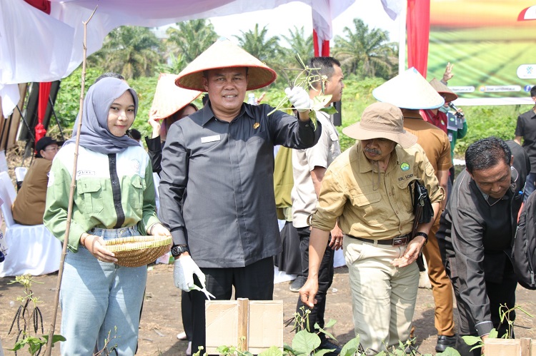 DKP Siap Dukung Sosialisasi dan Pemasaran Kacang Hijau Unri