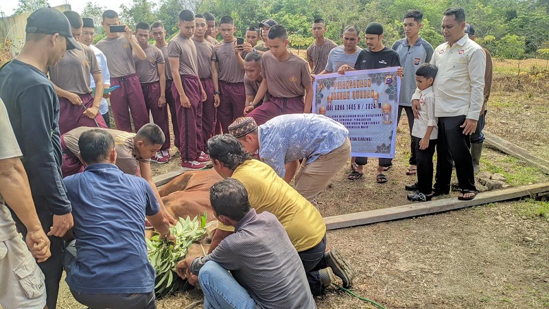 Penyembelihan Hewan Kurban di Polres Kuansing Berlangsung Khidmat dan Kondusif