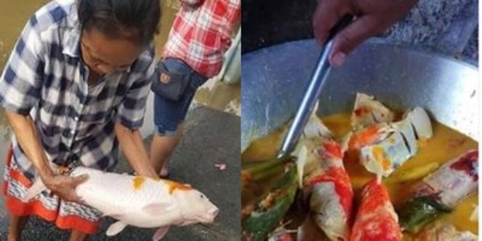 Emak-Emak Masak Ikan Koi Jadi Hidangan Makanan, Bikin Mewek Netizen