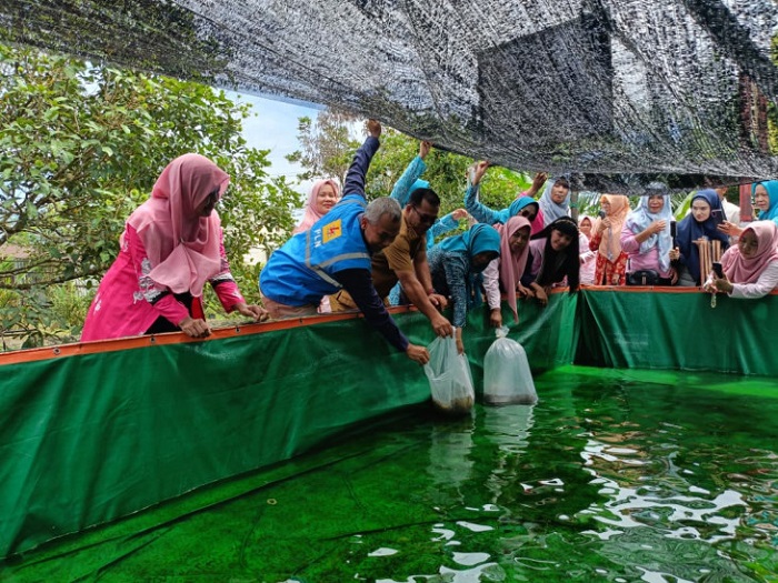 Srikandi PLN Bangun Kemandirian Desa Salo Timur Melalui Pemberdayaan Kelompok Batik, Maggot & Lele