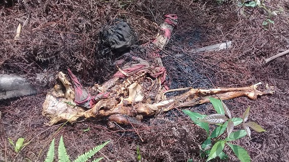 Nenek Marijah Mengaku Tengkorak Wanita di Rejosari  Tanjung Medan Putrinya, Saat Pergi Naik Motor Supra...