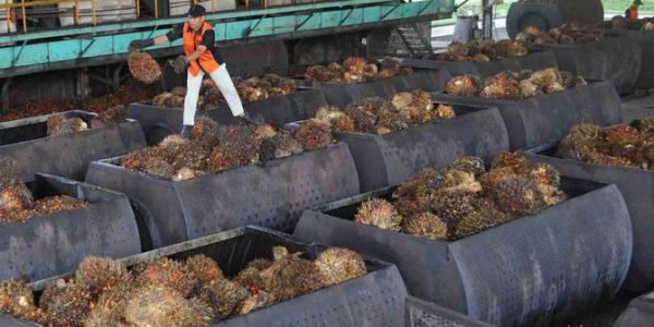 Kemenperin Tetapkan Dumai Satu Dari Tiga Zona Selain Sei Mangke dan Kaltim