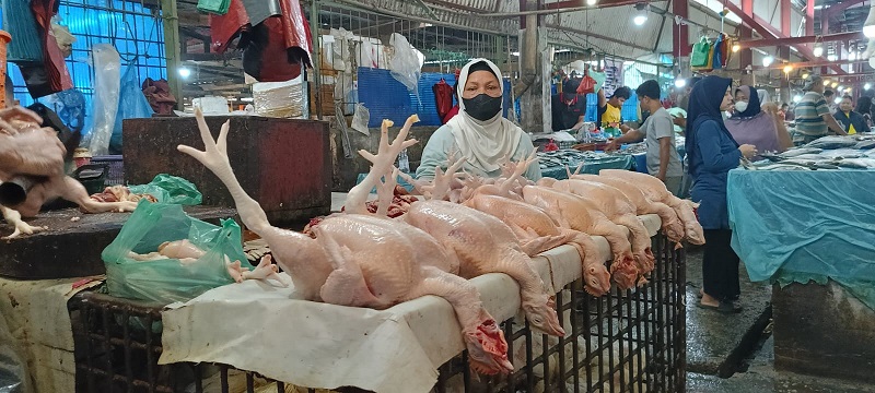ANEH, Distributor Sebut Harga Ayam di Pekanbaru   Sudah Turun, Tapi di Pasar Masih Tinggi...