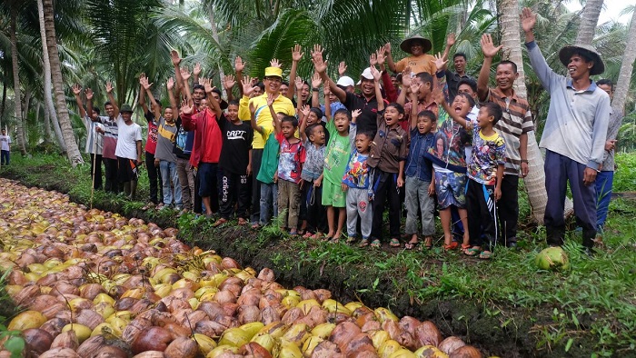 Bangun Tanggul, DPRD Targetkan Penyelamatan 12.500 Hektare Kebun Kelapa Rakyat di Inhil