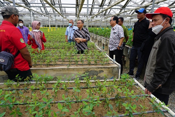 Rektor Unilak  Kunjungi PT RAPP, Kolaborasi Dunia Usaha dan Institusi  Pendidikan