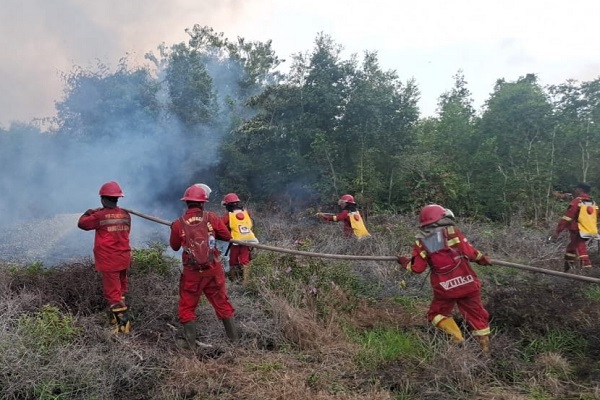 Pekanbaru Tetapkan Status Siaga Darurat Bencana Karhutla Hingga 30 November