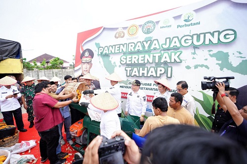 Panen Raya Jagung Polda Riau Dapat Apresiasi dari Pemprov Riau